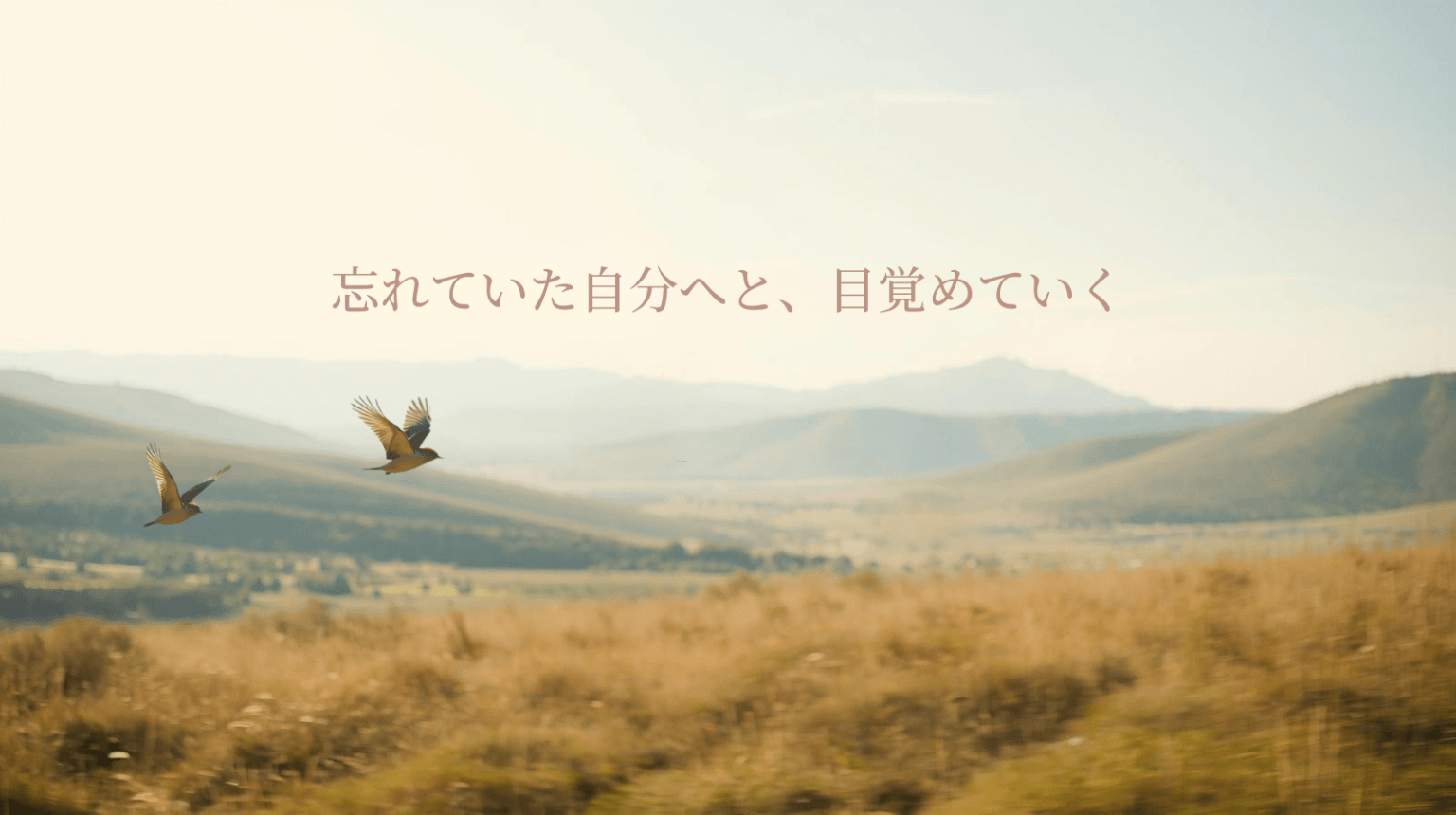 Awakening Journey|本来の意識へ還る旅